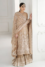 Load image into Gallery viewer, EMBROIDERED CHIFFON CH10-04