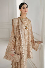 Load image into Gallery viewer, EMBROIDERED CHIFFON CH10-04