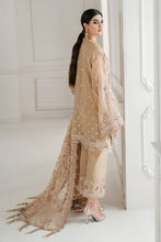 Load image into Gallery viewer, EMBROIDERED CHIFFON CH10-04