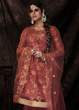 Load image into Gallery viewer, Chestnut Brown Designer Soft Net Sharara Suit with Sequin work