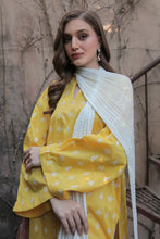 Laden Sie das Bild in den Galerie-Viewer, CHIFFON CRUSH DUPATTA-55