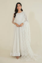 Laden Sie das Bild in den Galerie-Viewer, EMBROIDERED CHIFFON DUPATTA-41