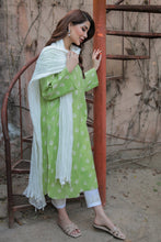 Laden Sie das Bild in den Galerie-Viewer, ORGANZA CRUSH DUPATTA-56