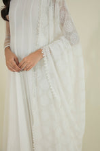 Laden Sie das Bild in den Galerie-Viewer, EMBROIDERED CHIFFON DUPATTA-41