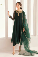 Load image into Gallery viewer, EMBROIDERED CHIFFON PR-822