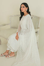 Laden Sie das Bild in den Galerie-Viewer, EMBROIDERED CHIFFON DUPATTA-45