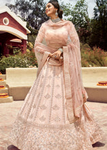 Cargar imagen en el visor de la galería, Shell Pink Crepe Lehenga Choli with Resham, Gota &amp; Zarkan work