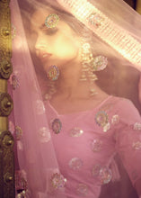 Laden Sie das Bild in den Galerie-Viewer, Taffy Pink Soft Net Lehenga Choli with Sequins work