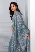 Load image into Gallery viewer, EMBROIDERED CHIFFON PR-748