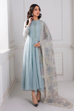 Load image into Gallery viewer, EMBROIDERED CHIFFON PR-746