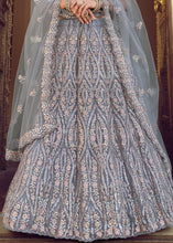 Laden Sie das Bild in den Galerie-Viewer, Pewter Grey Soft Net Lehenga Choli with Sequins, Thread, Zari &amp; Dori work