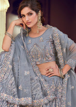 Laden Sie das Bild in den Galerie-Viewer, Pewter Grey Soft Net Lehenga Choli with Sequins, Thread, Zari &amp; Dori work