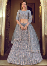 Laden Sie das Bild in den Galerie-Viewer, Pewter Grey Soft Net Lehenga Choli with Sequins, Thread, Zari &amp; Dori work