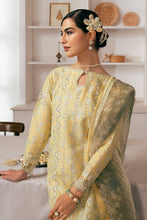 Load image into Gallery viewer, EMBROIDERED LAWN  SL11-D04