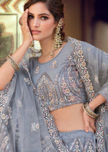 Laden Sie das Bild in den Galerie-Viewer, Pewter Grey Soft Net Lehenga Choli with Sequins, Thread, Zari &amp; Dori work