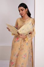 Load image into Gallery viewer, EMBROIDERED LAWN PR-807