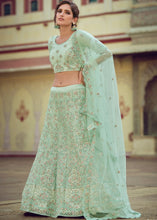 Laden Sie das Bild in den Galerie-Viewer, Mint Green Soft Net Lehenga Choli with Sequins, Thread, Zari &amp; Dori work