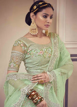 Carica l'immagine nel visualizzatore Galleria,Light Green Net Lehenga Choli with Floral Embroidery,Jarkan &amp; Zari work