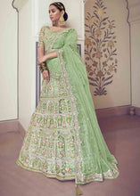 Carica l'immagine nel visualizzatore Galleria,Light Green Net Lehenga Choli with Floral Embroidery,Jarkan &amp; Zari work