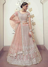 Load image into Gallery viewer, Dusty Pink Net Lehenga Choli with Floral Embroidery,Jarkan, Zari &amp; Mirror work