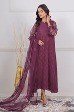 Load image into Gallery viewer, EMBROIDERED SCHIFFLI CHIFFON UF-337