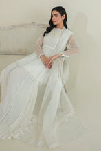 Load image into Gallery viewer, EMBROIDERED ORGANZA DUPATTA-37