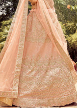 Laden Sie das Bild in den Galerie-Viewer, Peach Pink Organza Lehenga Choli with Resham, Dori &amp; Zari work