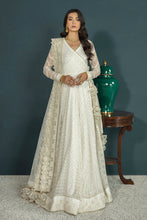 Load image into Gallery viewer, EMBROIDERED CHIFFON PR-744