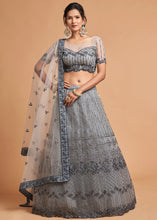 Load image into Gallery viewer, Light Grey Designer Soft Net Lehenga Choli with Zari, Dori &amp; Thread Embroidery work