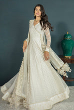 Load image into Gallery viewer, EMBROIDERED CHIFFON PR-744