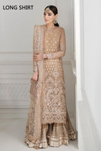 Load image into Gallery viewer, EMBROIDERED CHIFFON CH10-04