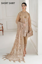 Load image into Gallery viewer, EMBROIDERED CHIFFON CH10-04