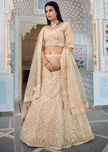 Bisque Brown Organza Lehenga Choli with Foil,Thread & Mirror work
