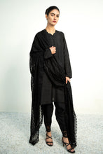 Carica l&#39;immagine nel visualizzatore Galleria,EMBROIDERED CHIFFON DUPATTA-03